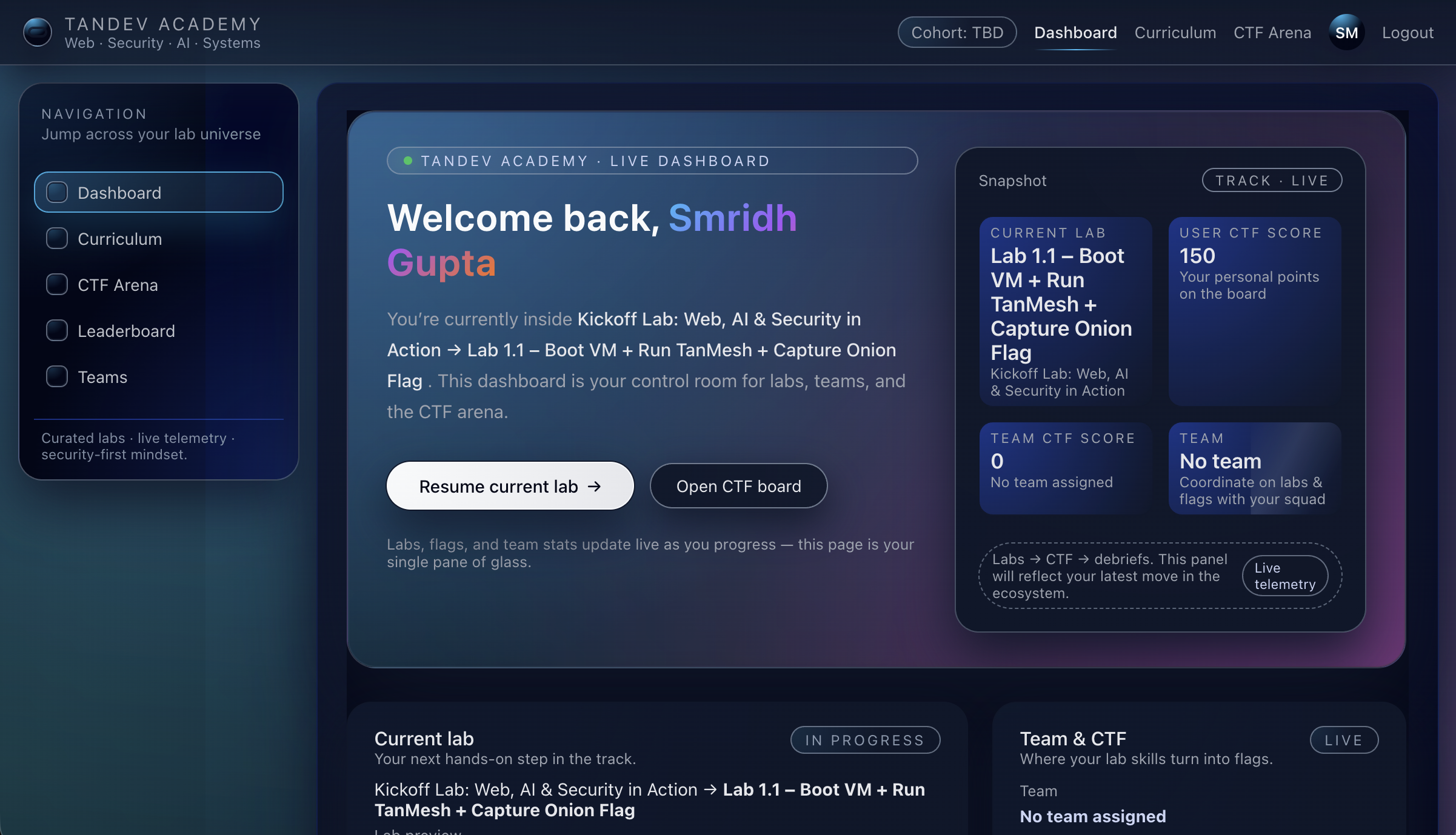 TanDev Academy overview with learners and tools